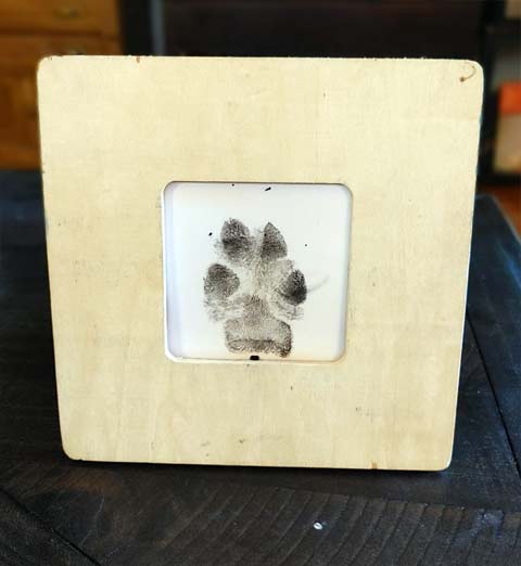 Ink Paw Pring Pet Memorialization